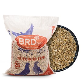 BRD Bezostaja Buğday 25 Kg.