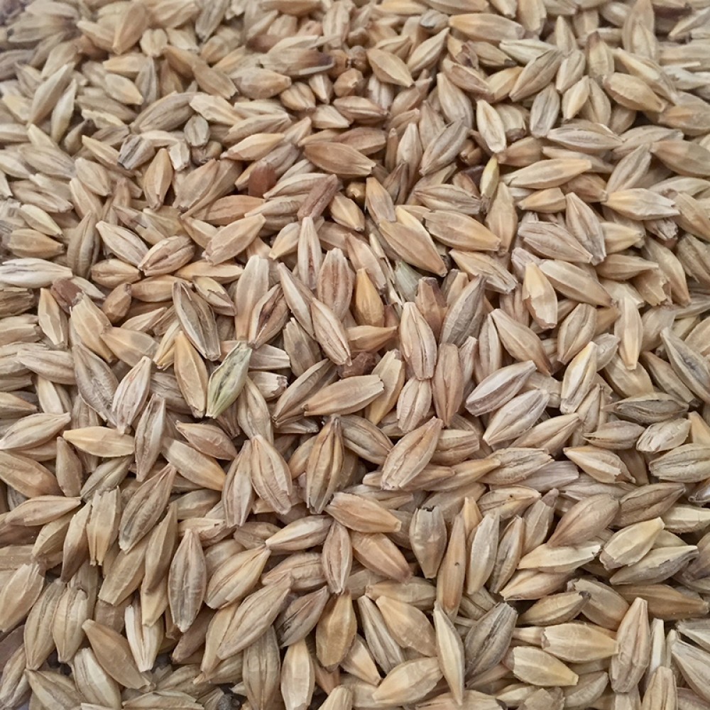 Arpa Elenmiş 40KG