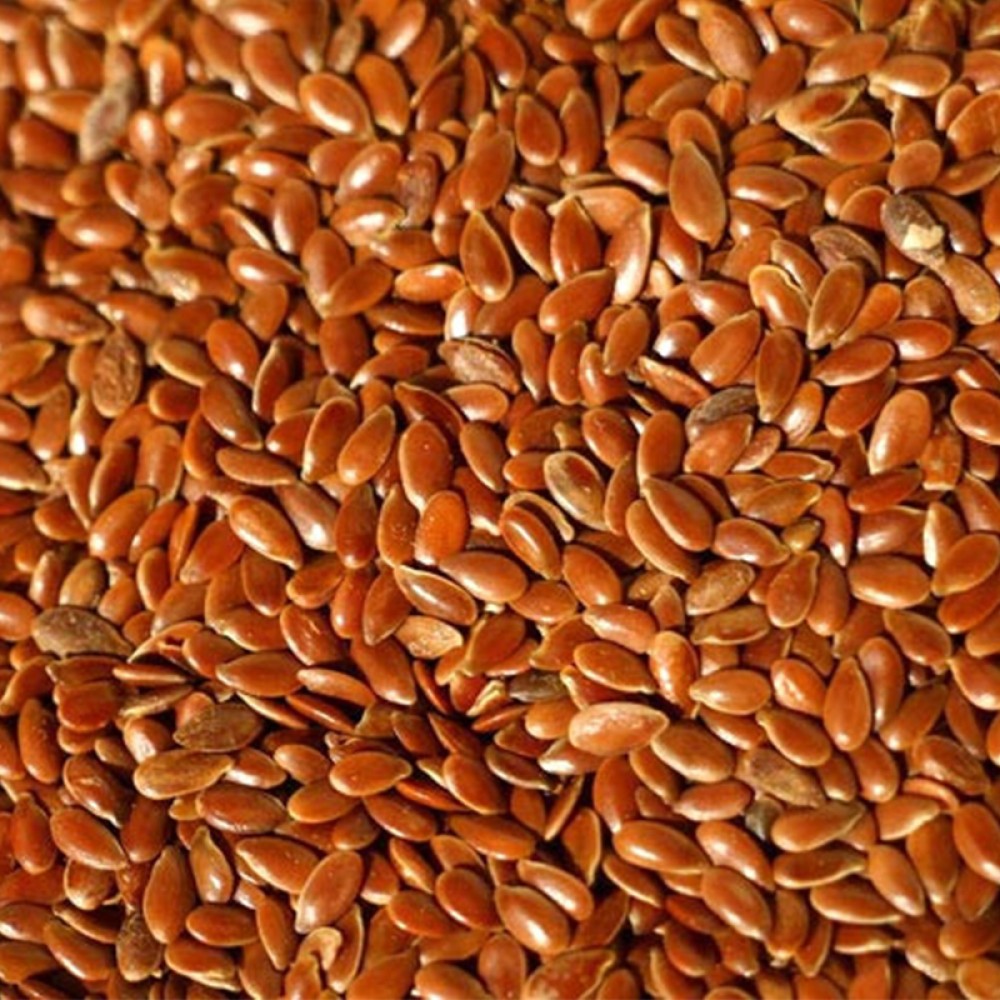 Keten Tohumu